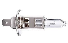 2 x H1 12V 55W CAR VAN CLEAR BULBS HEADLAMPS Replacement Halogen Bulb Pair R448